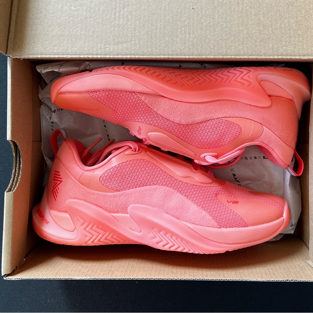 RAD ONE V2 Trainer